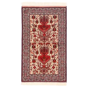 ذرع و نیم بلوچ اعلا کد 2562